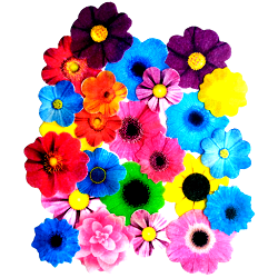 Edible flowers